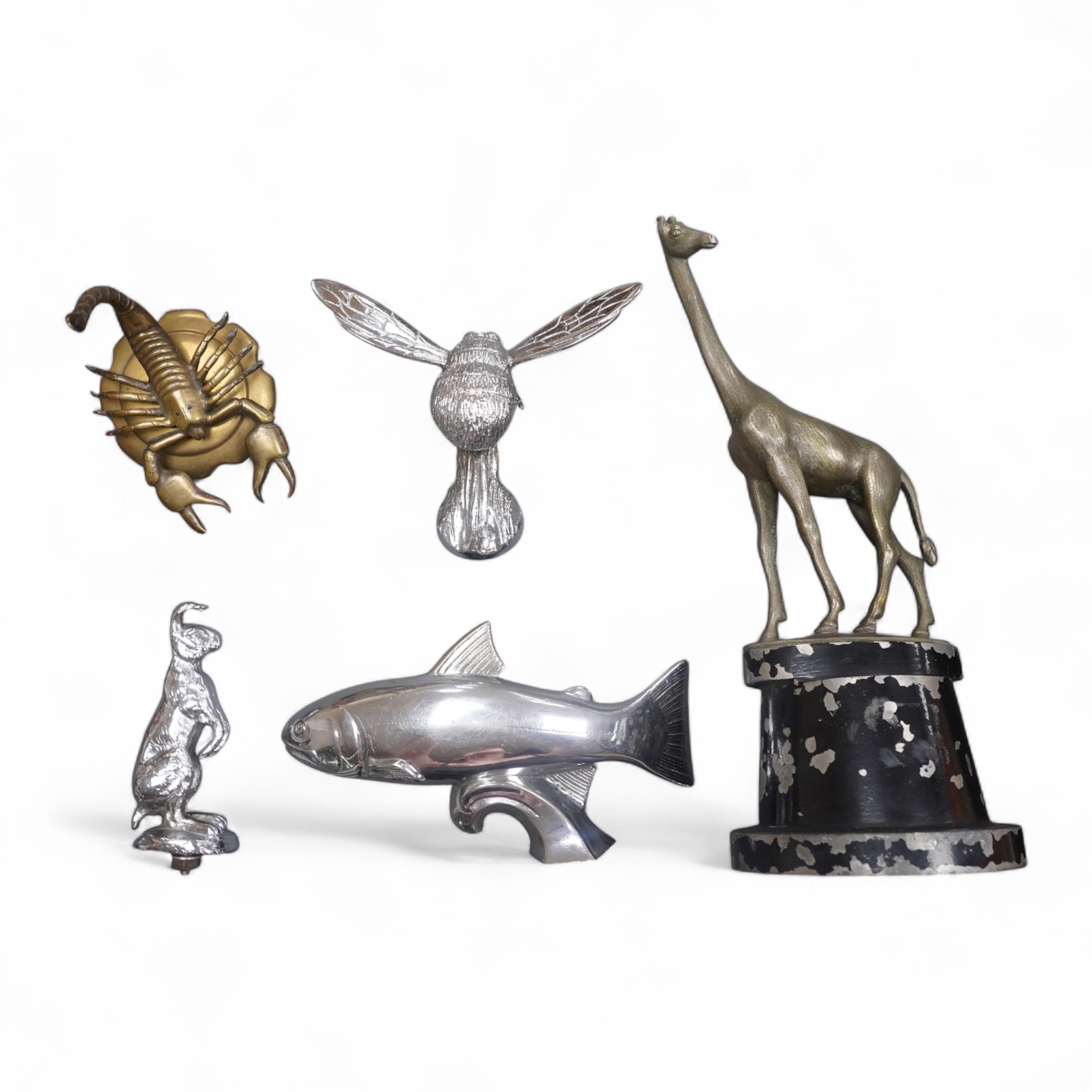 Five animal themed chrome and brass car mascots consisting of a giraffe mounted on a turned aluminium base, a hare, a bumblebee in flight, a leaping fish, and a scorpion. Condition - fair to good.